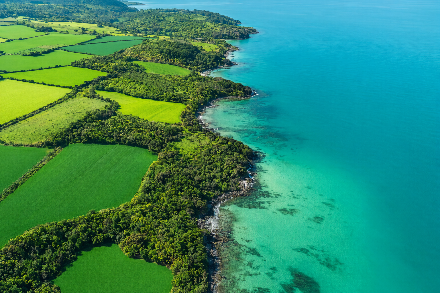 Anonymised NZ tax case study results